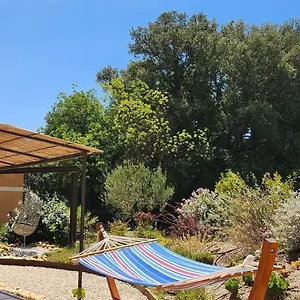Hébergement de vacances A 2 Pas Des Vignes, Hébergements Et à Du Pape, Maison Numéro 11, Châteauneuf-du-Pape